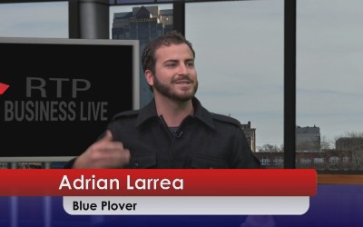 Blue Plover Interview
